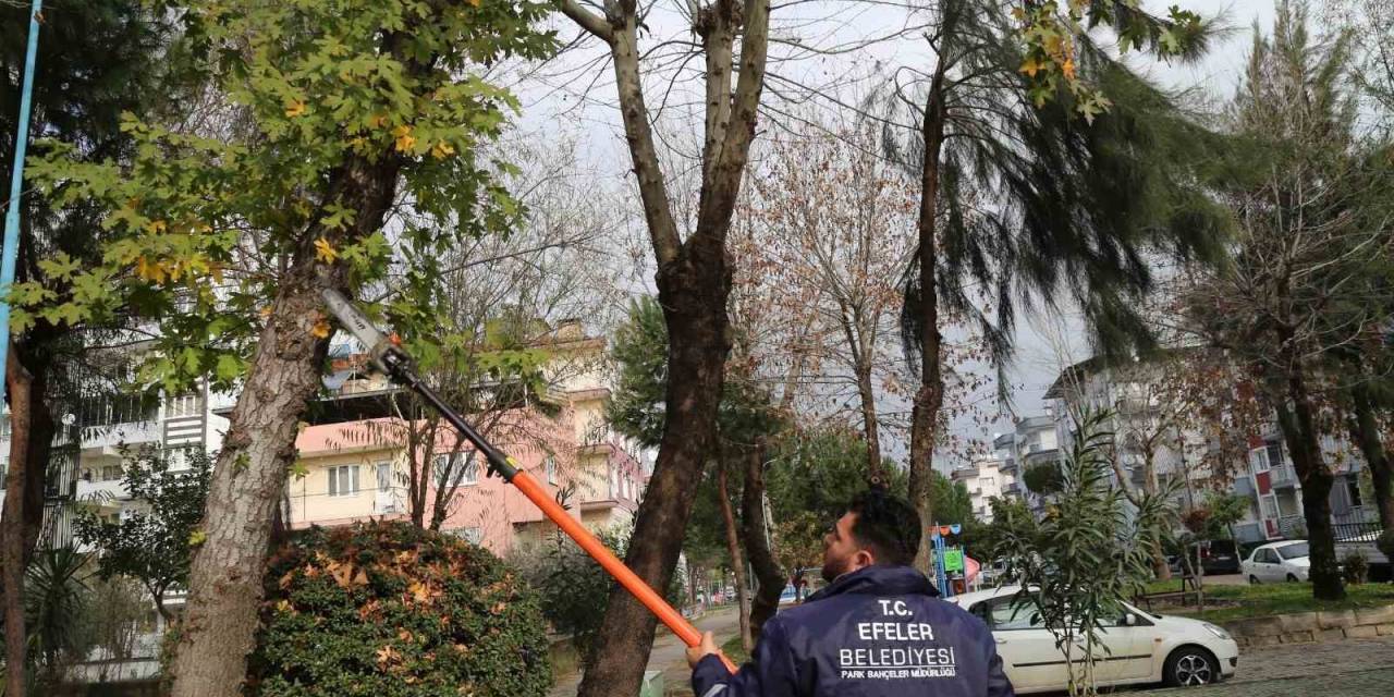 Efeler’in Ekipleri Park Ve Bahçelerde Bakım Çalışması Yapıyor