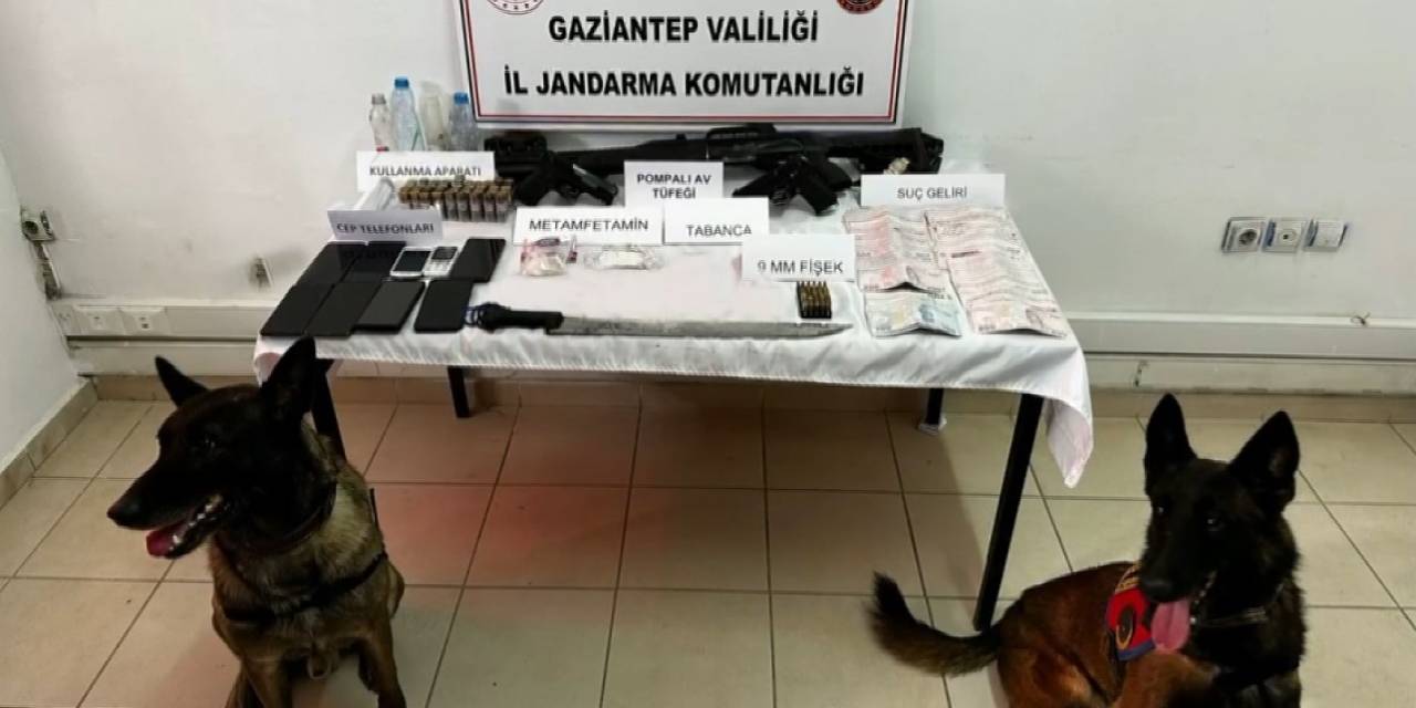Jandarmadan Çobanlar Çetesi Operasyonu: 6 Gözaltı