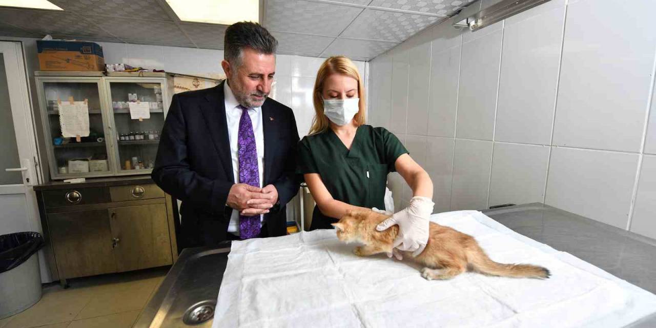 Can Dostlara Sıcak Yuva Ve Mama Desteği