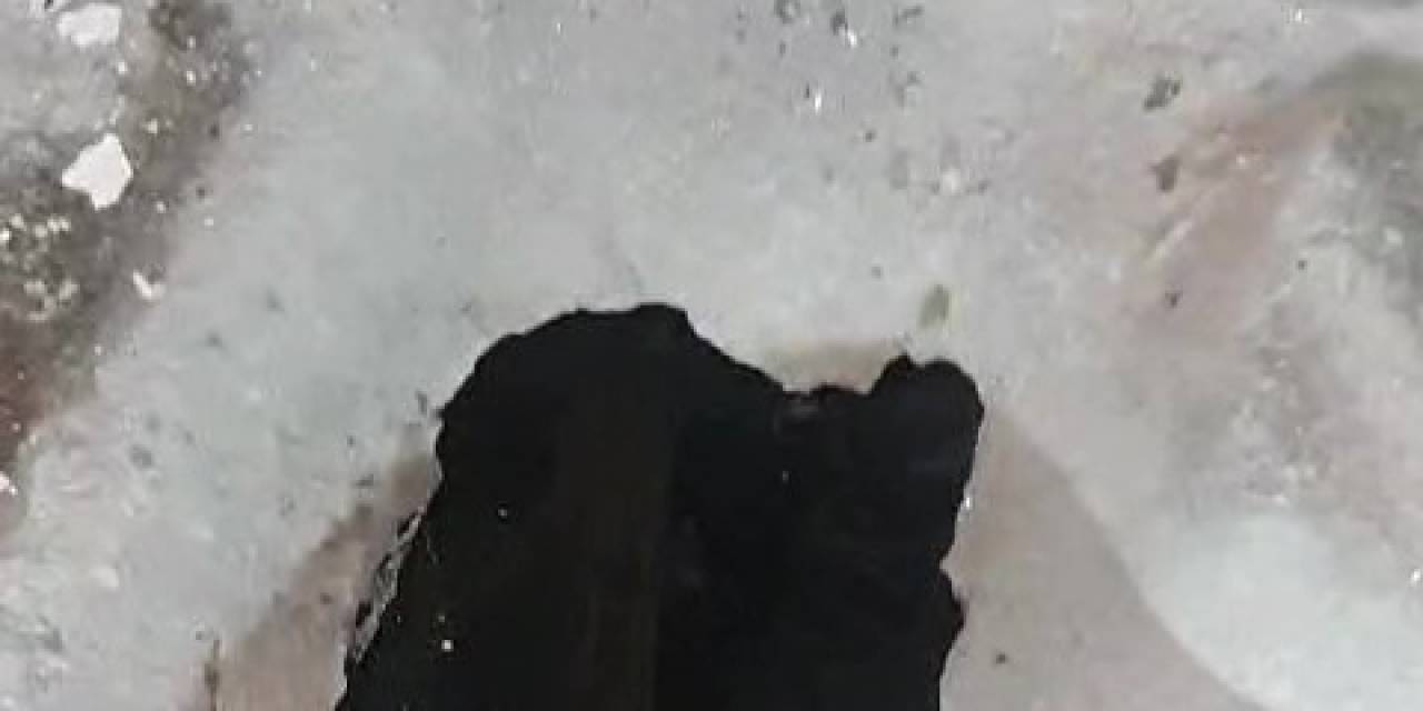 Tuvalet Deliğine Düşen Kediyi İtfaiye Kurtardı