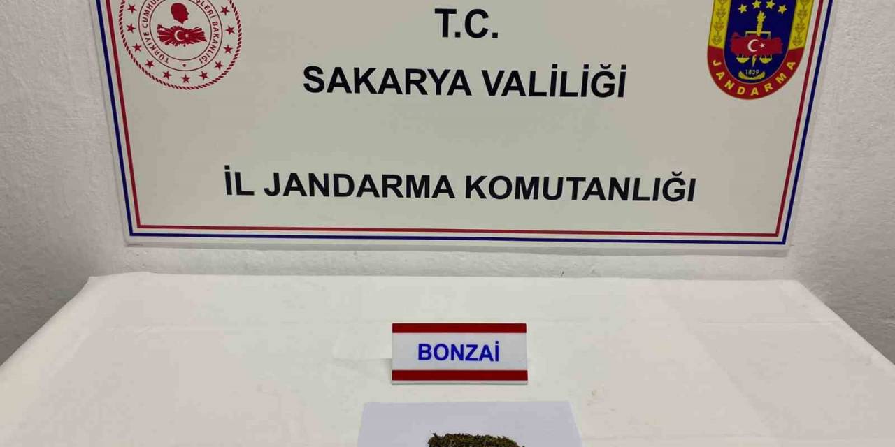 Sakarya’da Jandarma Ekiplerince 2 Günde 12 Şüpheli Yakalandı