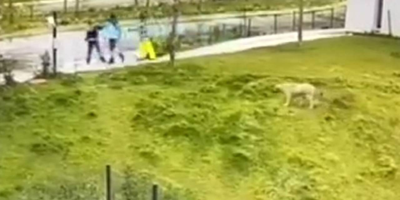 İbb Arıtma Tesisi’nde İşlenen Korkunç Cinayetin Görüntüsü Ortaya Çıktı