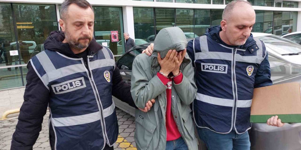 Ağaç Kesimi Sırasında Ölüm Olayı Üzerinden 295 Bin Lira Dolandırdılar