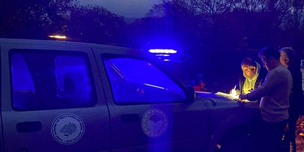 Kirpi Avlayan 6 Kişiye 42 Bin 462 Tl Para Cezası Kesildi