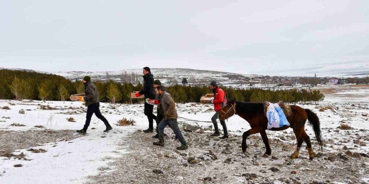 At Sırtında Yaban Hayvanları İçin Doğaya Yem Bırakıldı