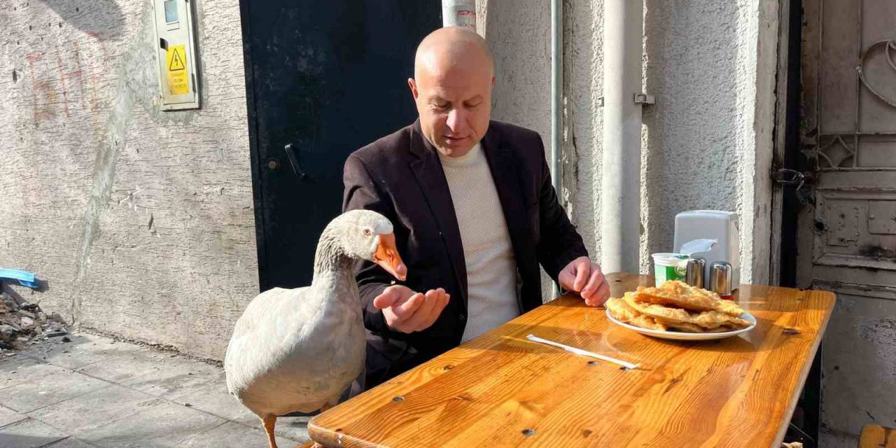 12 Yıllık Kazı İle Eskişehir’i Gezdi, Çi Börek Yedi