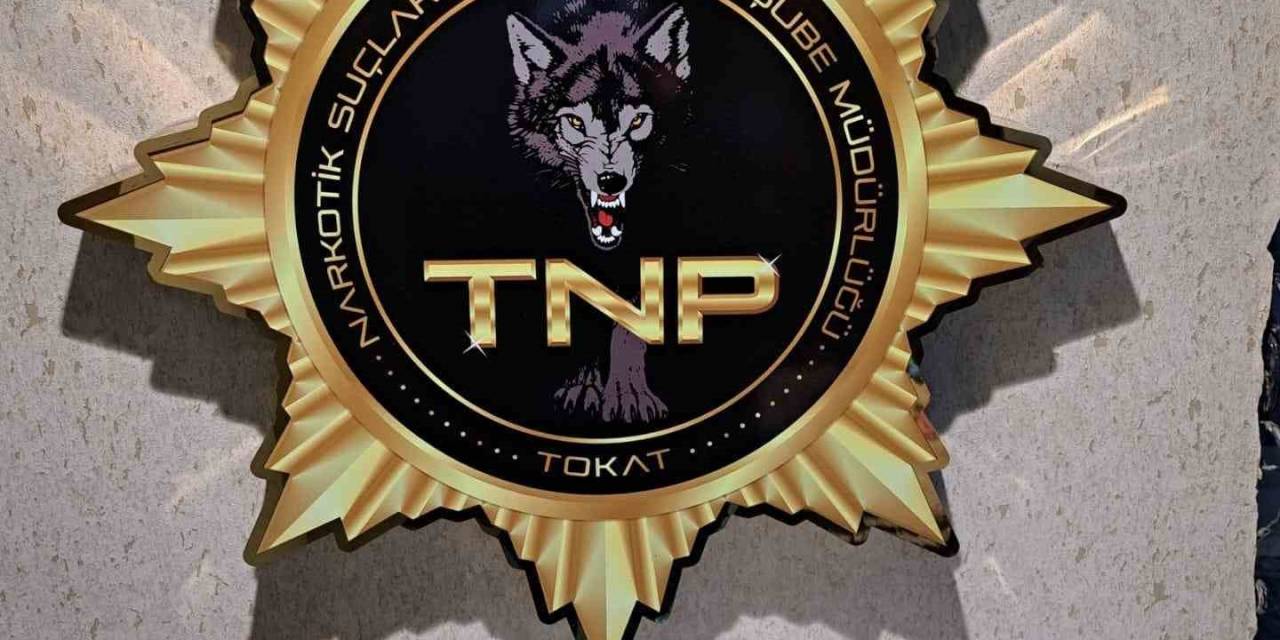 Tokat’ta Uyuşturucuya Geçit Yok