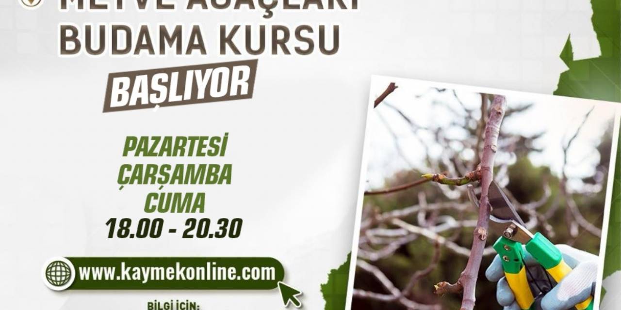 Büyükşehirden ’meyve Ağaçları Budama Kursu’