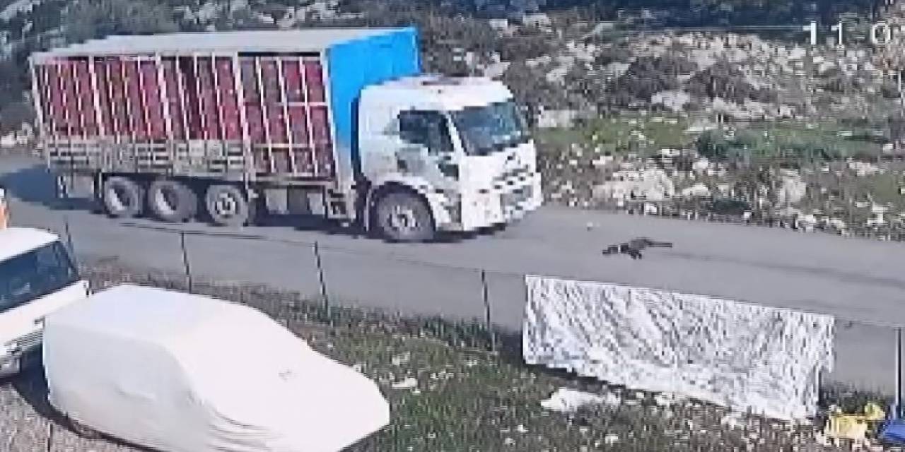 Kamyon Köpeği Ezdi, O Anlar Kameraya Yansıdı