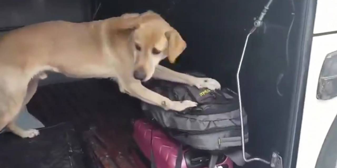 Kayseri Polisi Uyuşturucuya Geçit Vermedi: 3 Günde 19 Kişi Tutuklandı