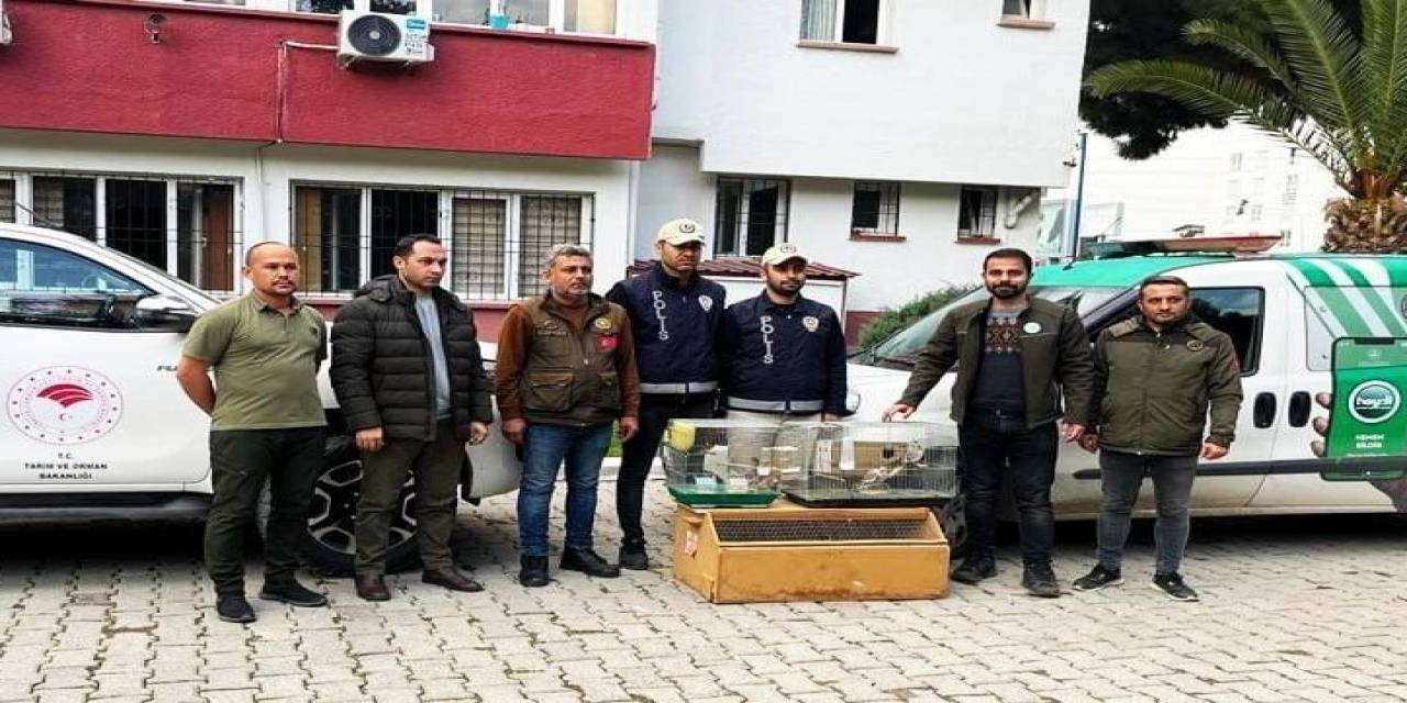 Osmaniye’de Yasaklı Kuş Satan İş Yerine 41 Bin 817 Tl Para Cezası