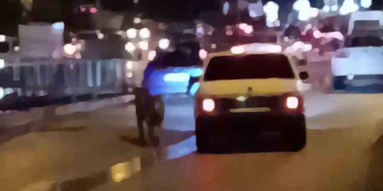 Köpeği Arabanın Peşinden Koşturan Sürücü Kamerada