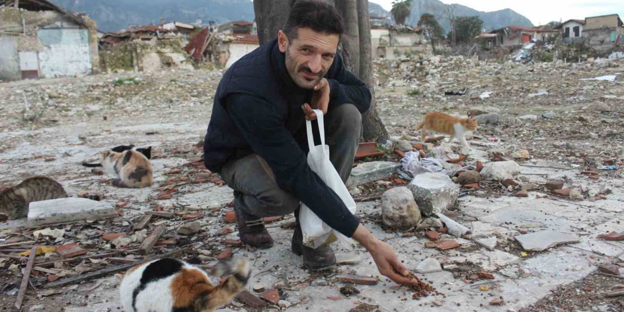 Enkaz Kentin Sokak Hayvanlarına Can Oldu