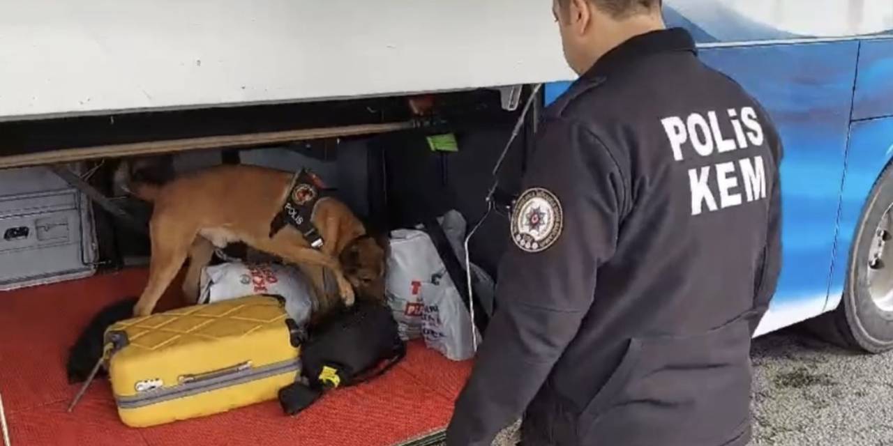 Osmaniye’de İki Farklı Yolcu Otobüsünde Uyuşturucu Madde Ele Geçirildi
