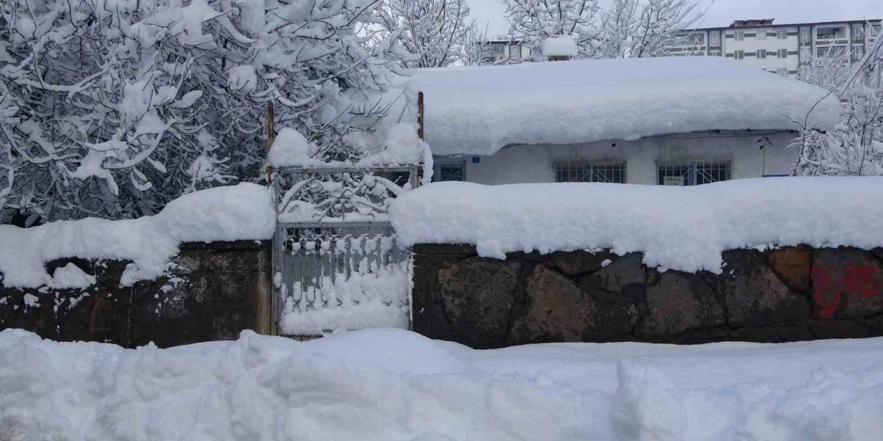 Kar Bitlis’i Esir Aldı