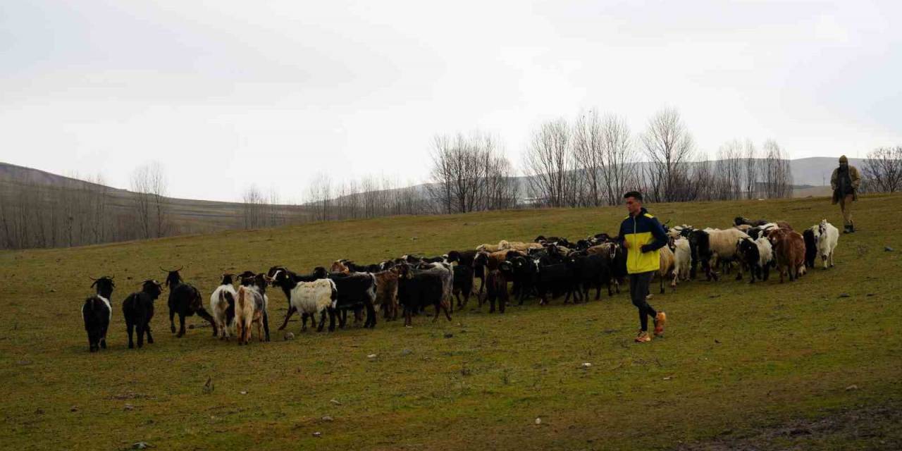 41 Kez Türkiye Şampiyonu Olan İbrahim Karateker’in Hedefi Olimpiyatlara Kota Almak