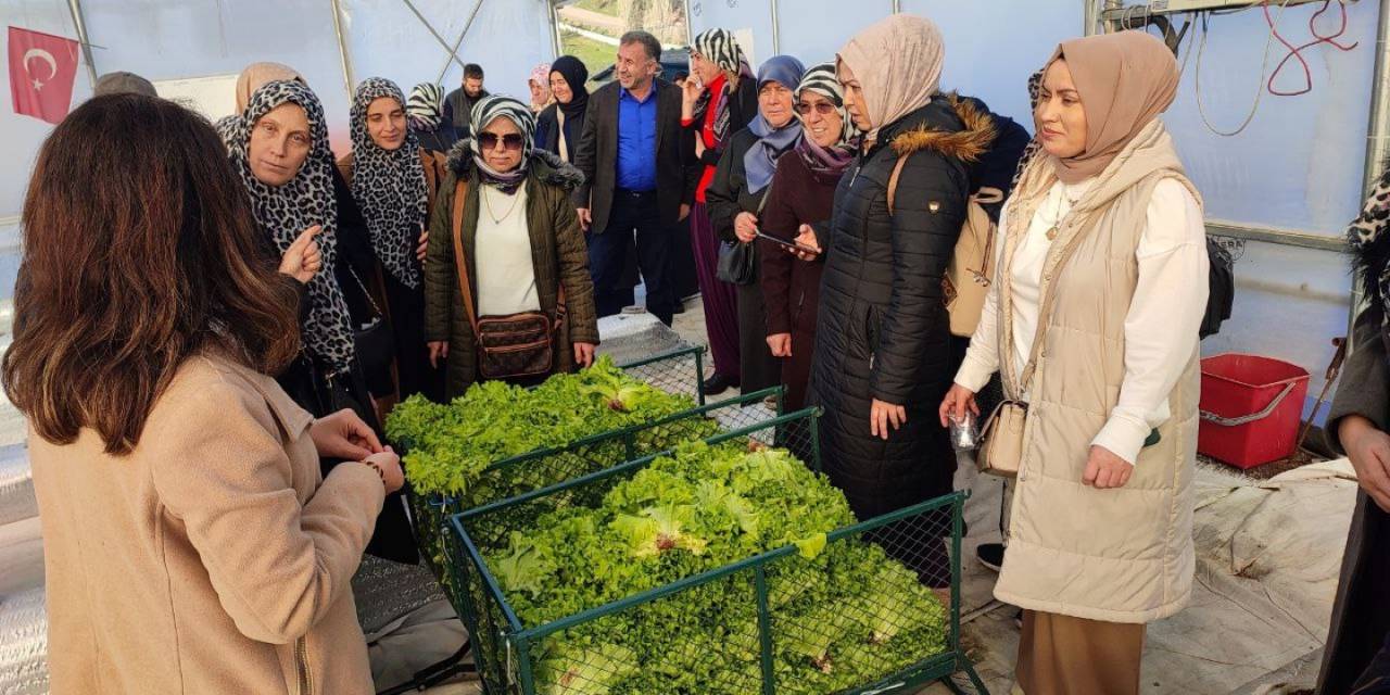 Topraksız Tarım Projesine Kadın Çiftçilerden Yoğun İlgi