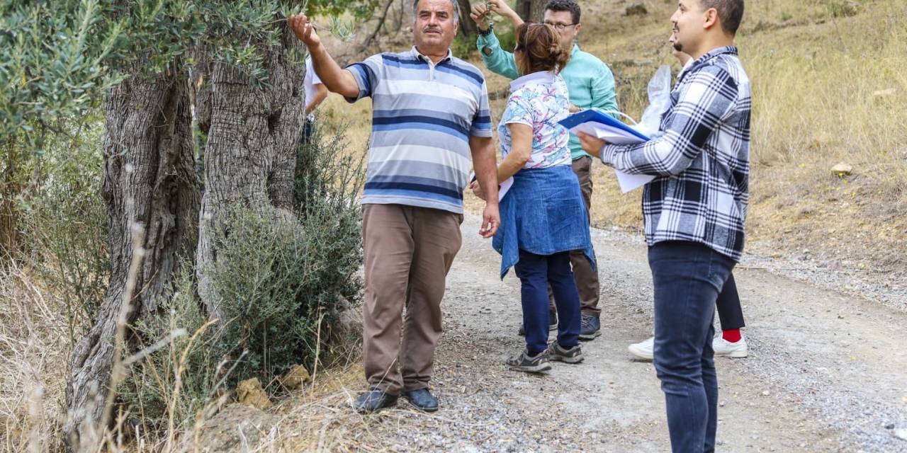 Başka Bir Tarım Sertifikası Fide Ve Fidancılık Alanında Verilmeye Başlandı