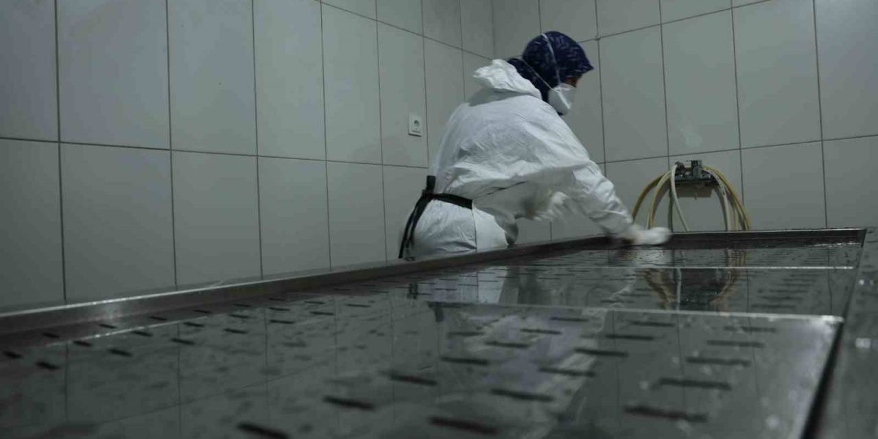 Diyarbakır’da Görevli Kadın Gassal: “Depremde Bütün Bir Aileyi Almak Bizi Çok Etkiliyordu”