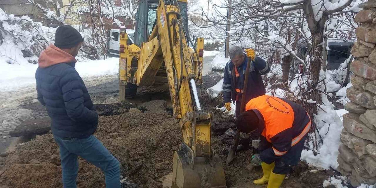 Dondurucu Havada Hummalı Çalışma