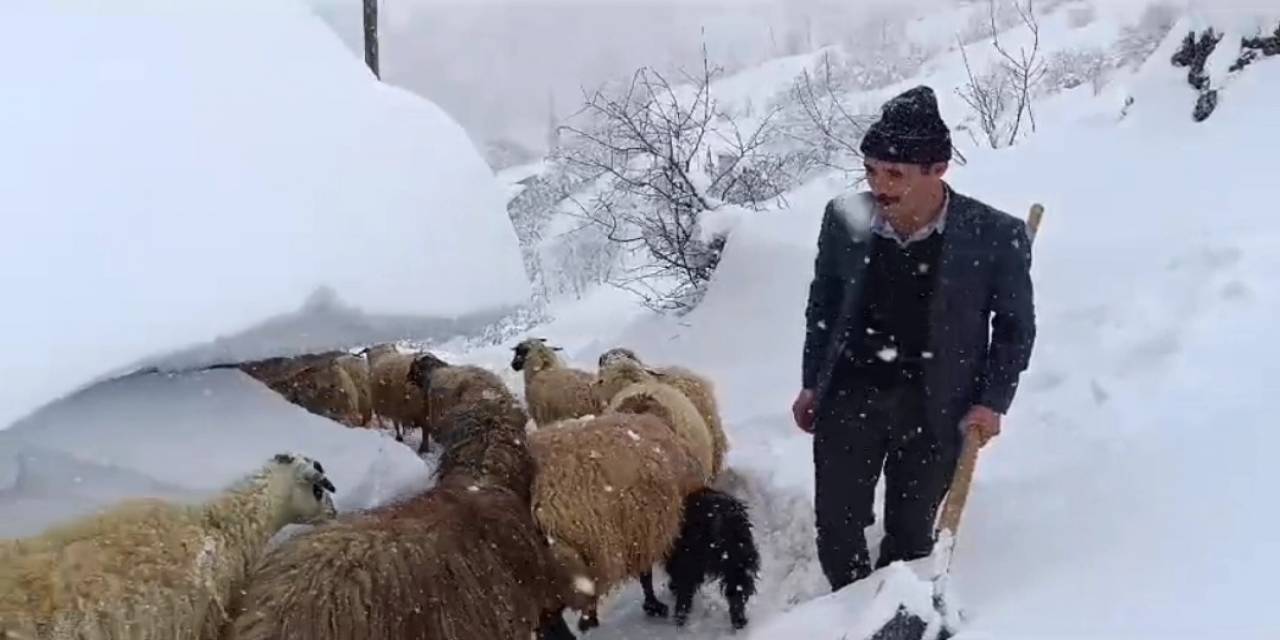 Bahçesaray’da Hayvanların Tünelli Geçişi