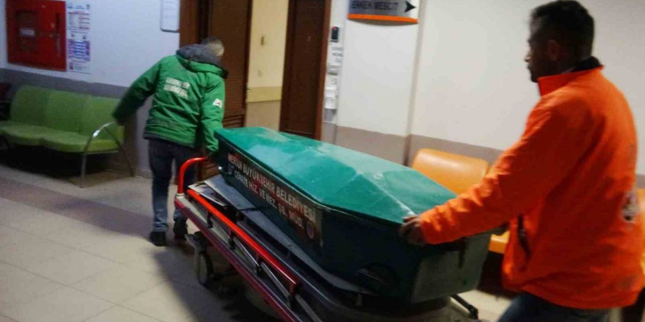 Kesilen Ağacın Altında Kalan Çiftçi Hayatını Kaybetti