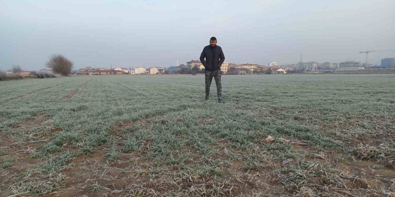 Edirne’de Tarım Arazileri Buz Tuttu