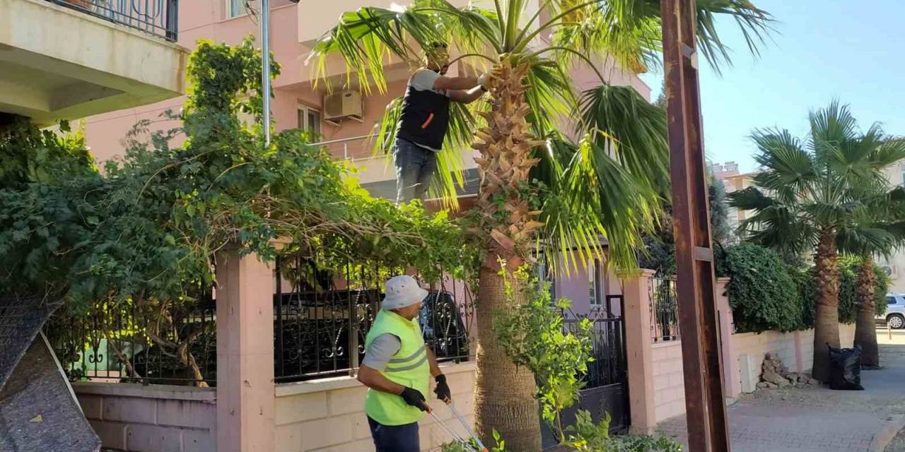 Mut’ta Park Ve Bahçelerin Kışlık Bakımı Devam Ediyor