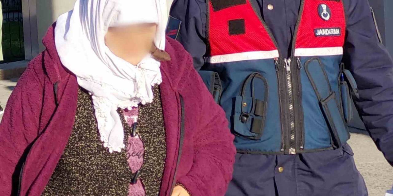 Hindi Hırsızlığı Şüphelisi Serbest Bırakıldı