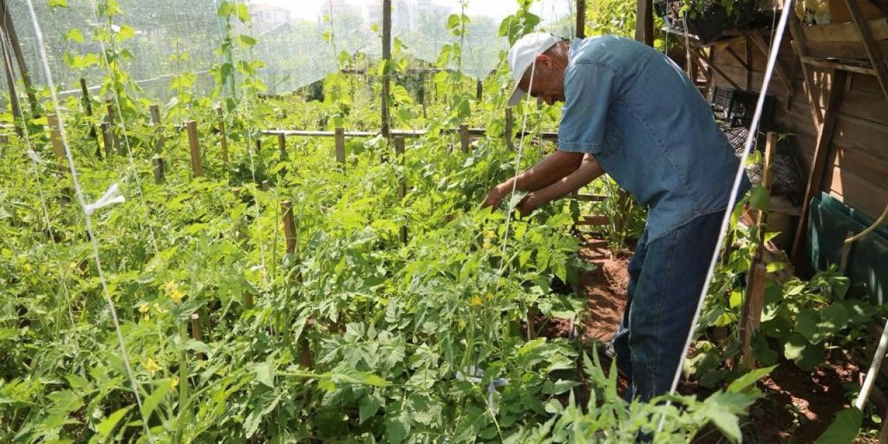 Hobi Bahçesi Başvuruları 17 Ocak’ta Başlıyor