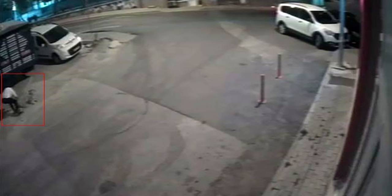 Köpeği Öldüren Sanıktan İlginç Savunma