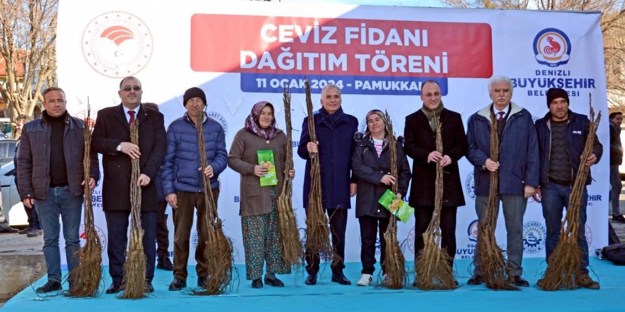 Denizli, Türkiye’nin Ceviz Üretim Merkezi Olma Yolunda İlerliyor