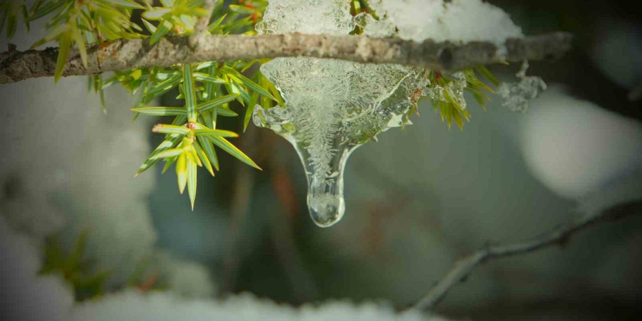 Kartpostallık Manzara Eşliğinde Yürüyüş Yaptılar