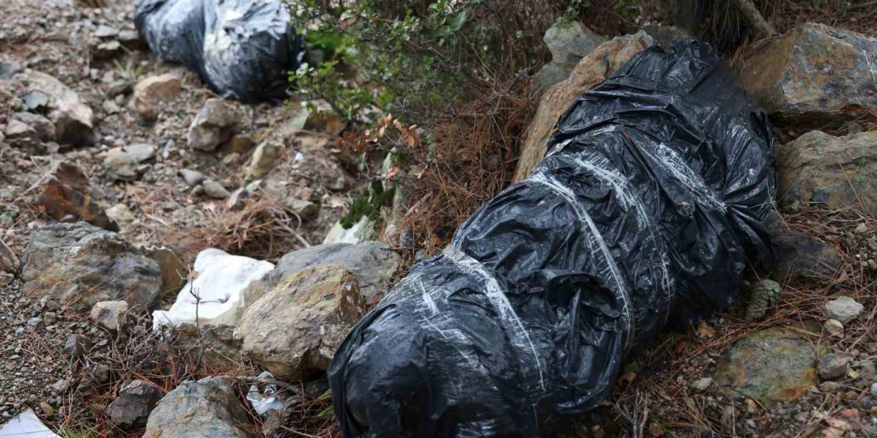 İzmir’de Çöp Poşetleri İçerisinde Köpek Ölüleri Bulundu