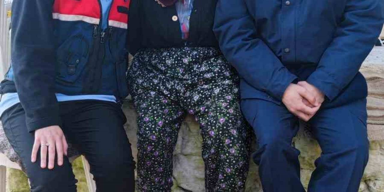 Aydın İl Jandarma Komutanlığı Asırlık Çınarları Yalnız Bırakılmıyor