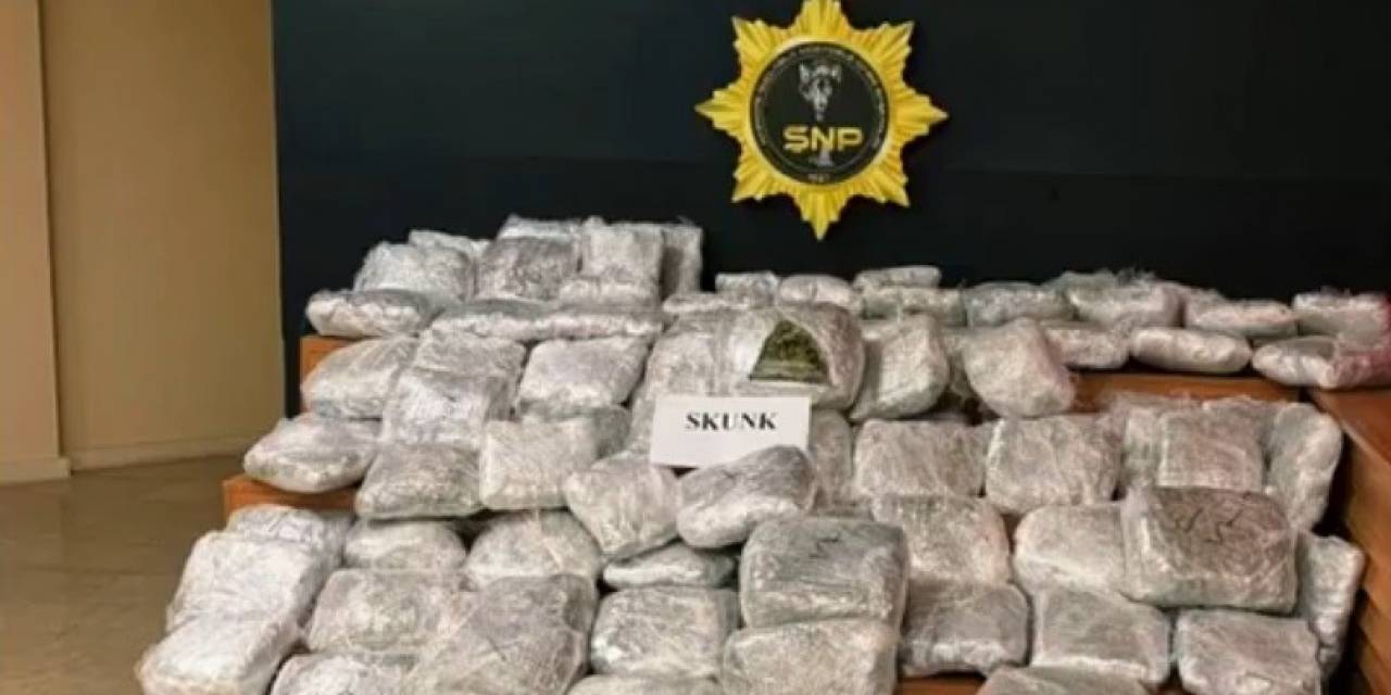 Şanlıurfa’da 85 Kilogram Skunk Ele Geçirildi