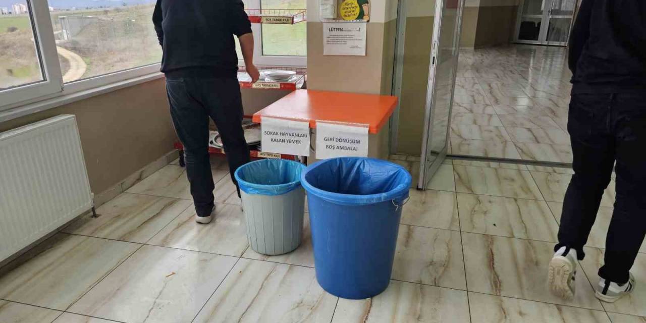 Bandırma’da Sokak Hayvanlarına Yardım Eli