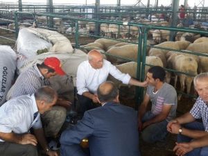 Kurban Pazarlığında Milletvekili Aracı Oldu