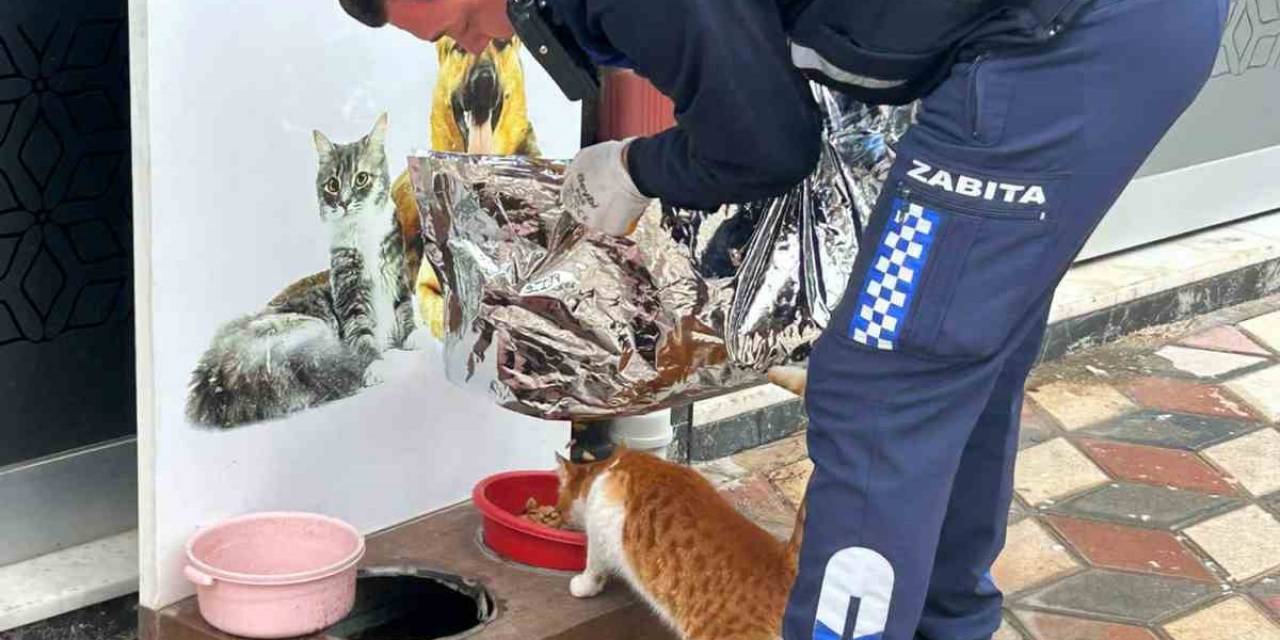 Ezine Belediyesi Zabıta Müdürlüğü’nden Örnek Davranış: Soğuk Kış Günlerinde Can Dostları Unutulmadı