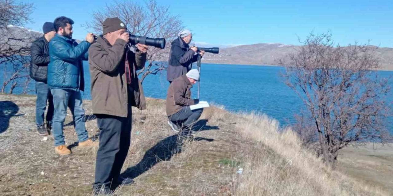 Elazığ’da Su Kuşu Popülasyonunun Tespiti İçin Çalışma Yapıldı