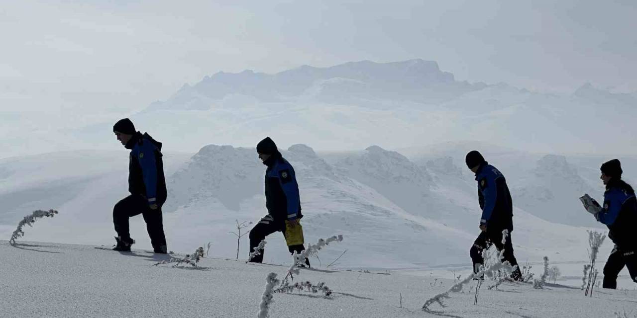 Yüksekova Polisi Hayvanlar İçin Doğaya Yem Bıraktı