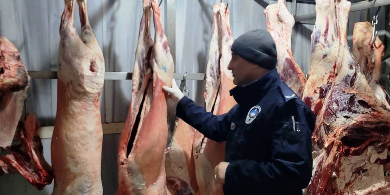 Altınova’da Kasaplara Denetim