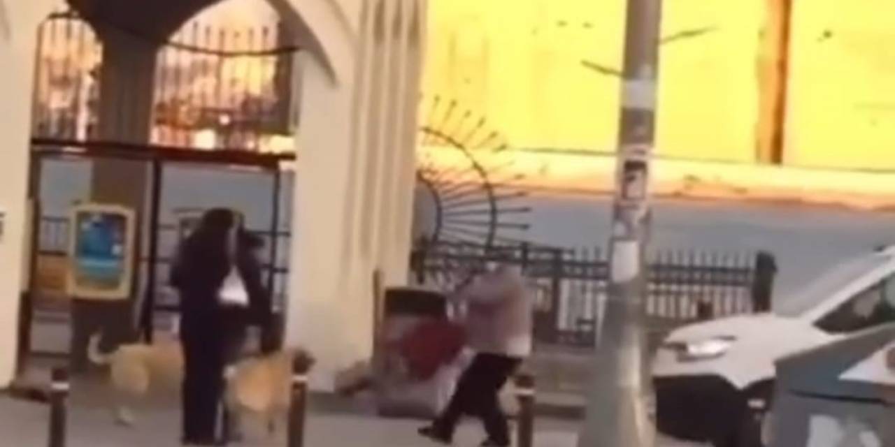 Kadıköy’de Yaşlı Kadına Köpekler Saldırdı