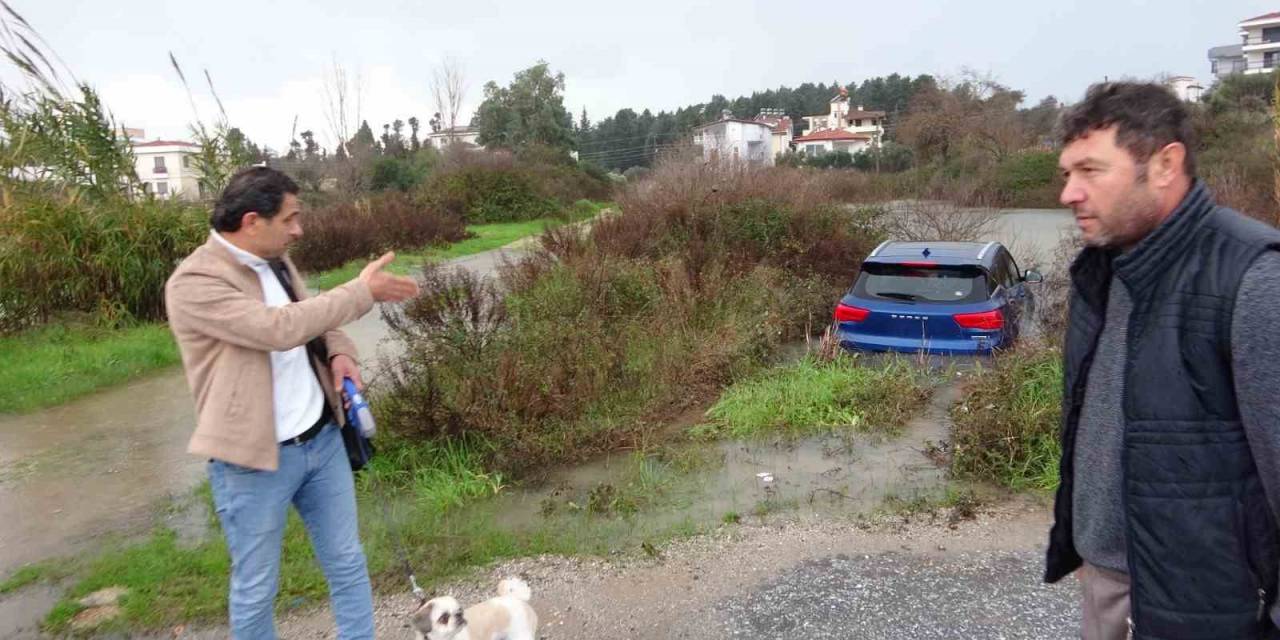 Havlayan Köpeği Dikkatini Dağıtınca Şarampole Uçarak Suya Daldı