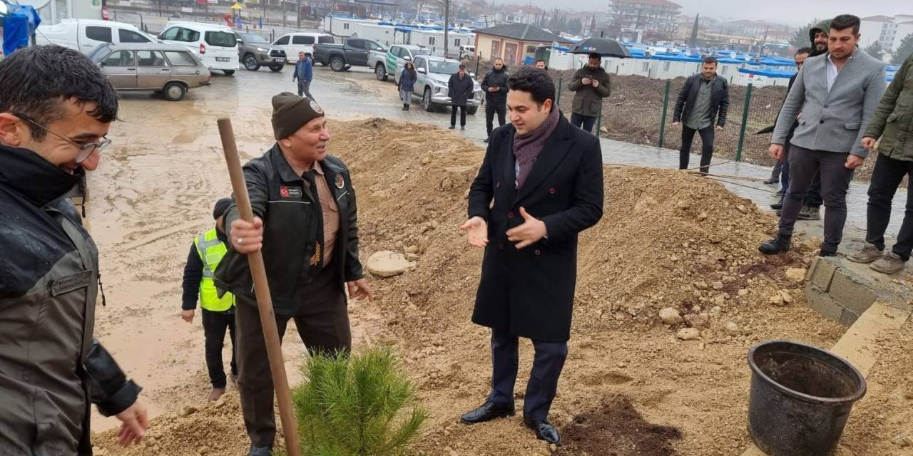 Konteyner Kentte Fidanlar Toprakla Buluşturuldu