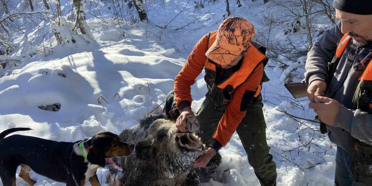 Film Sahnesi Değil Domuz Avı