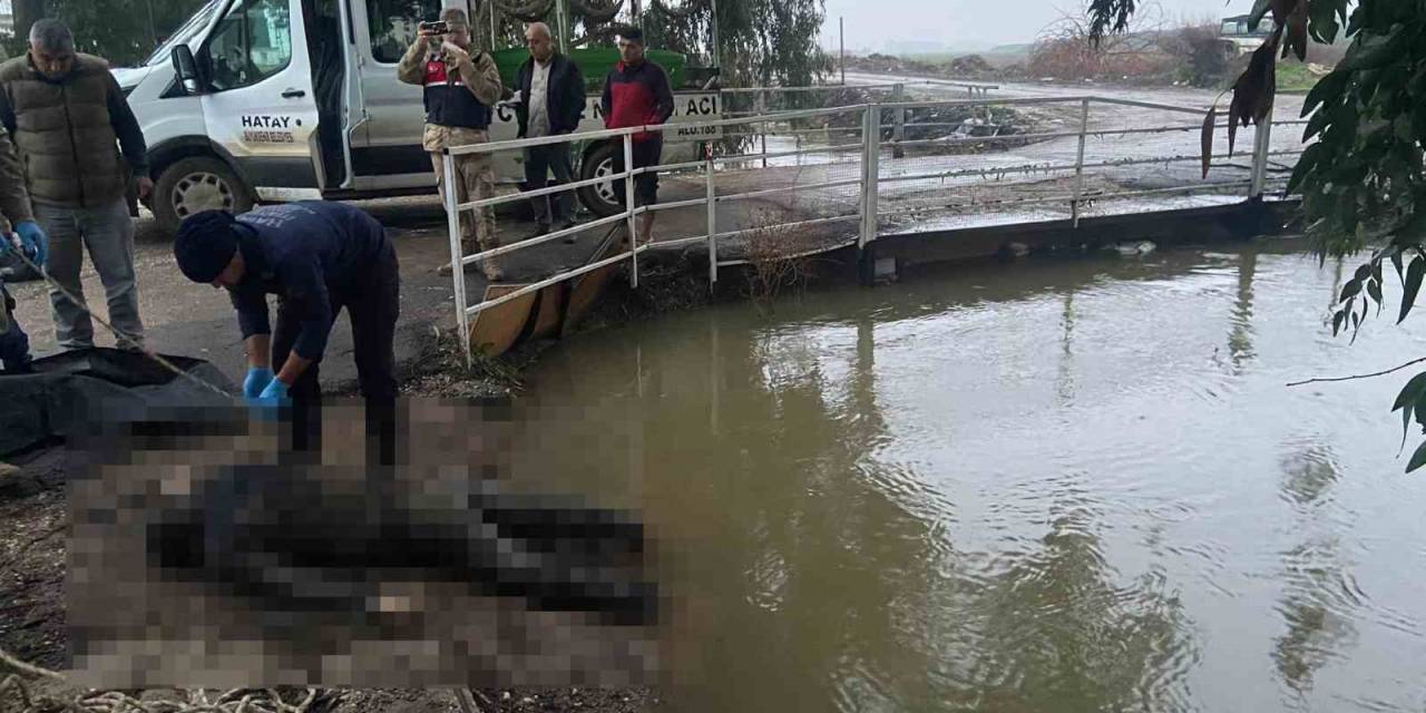 Sulama Kanalında Erkek Cesedi Bulundu