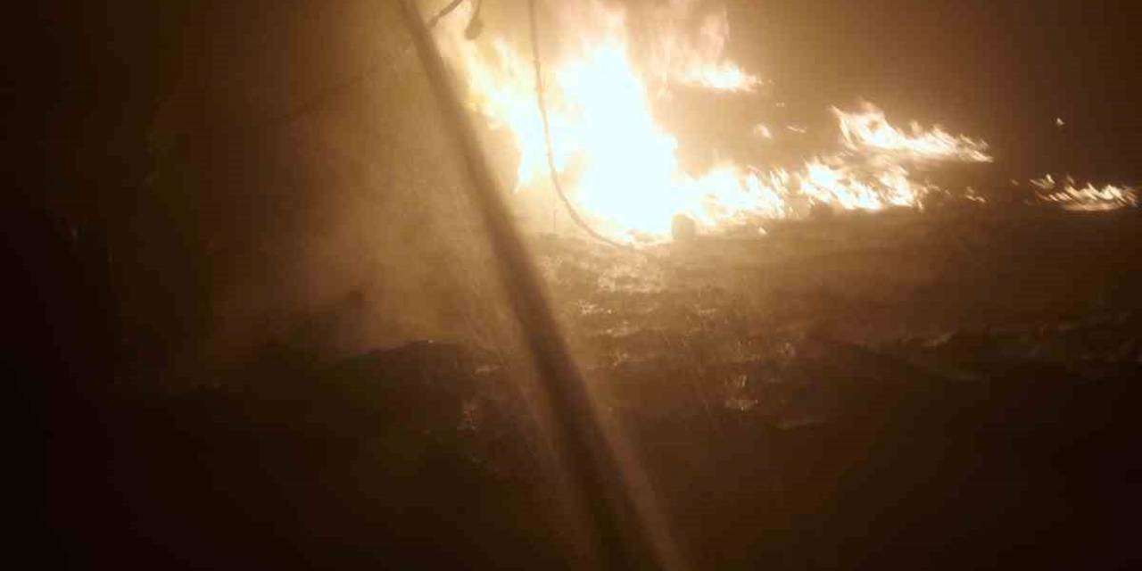 Çine’deki Turşu Fabrikasında Yangın