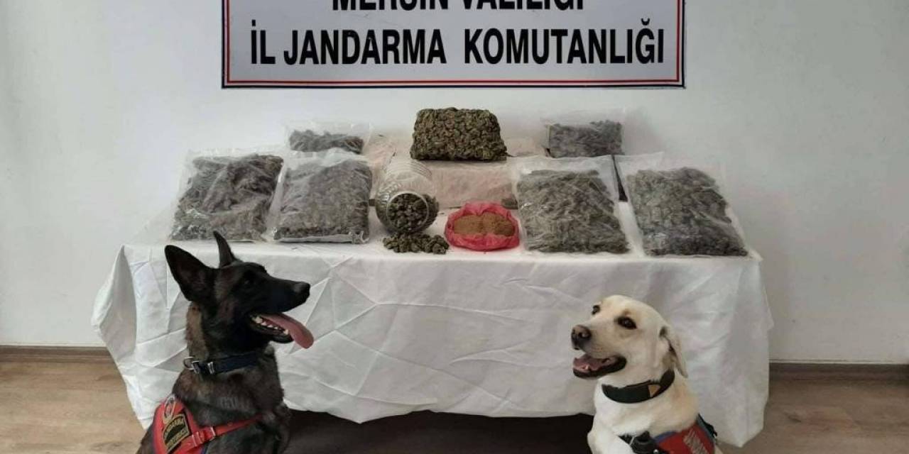 Mikrodalgadan Bile Uyuşturucu Çıktı, 2 Şüpheli Tutuklandı