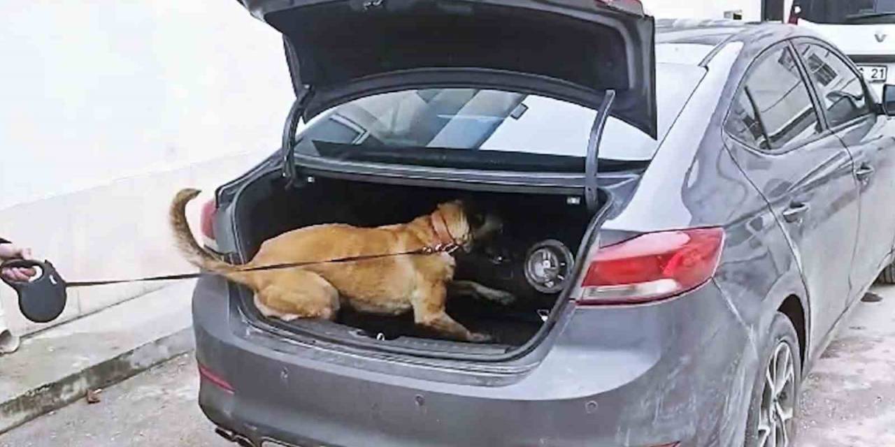 Lpg Tankının İçerisinden Kilolarca Uyuşturucu Çıktı